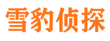 平果市婚姻调查